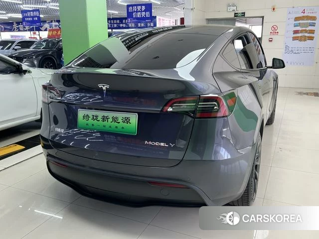 Tesla Model Y 2022 Серебристо-серый из Китая, фото 6