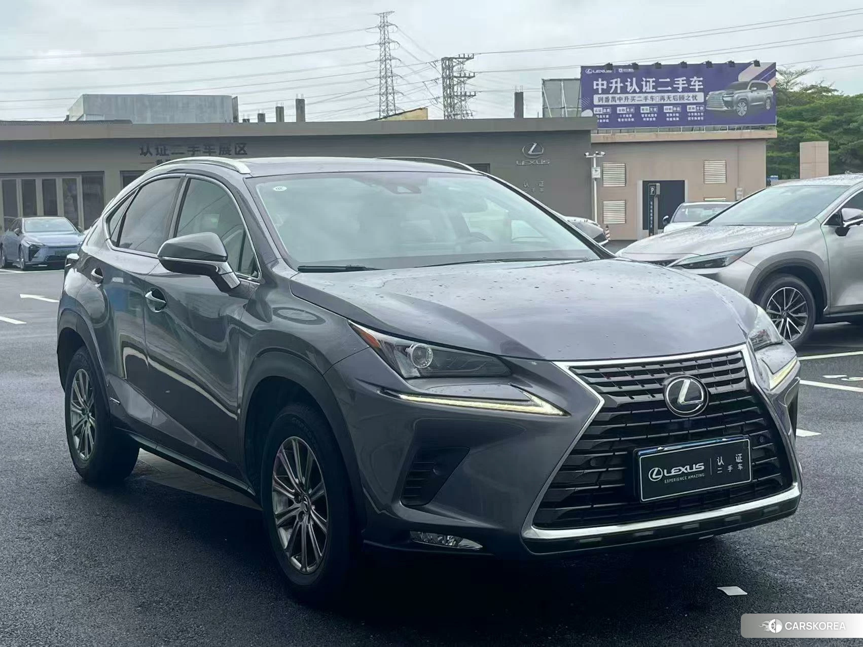 Lexus NX 2019 Серебристо-серый из Китая, фото 2