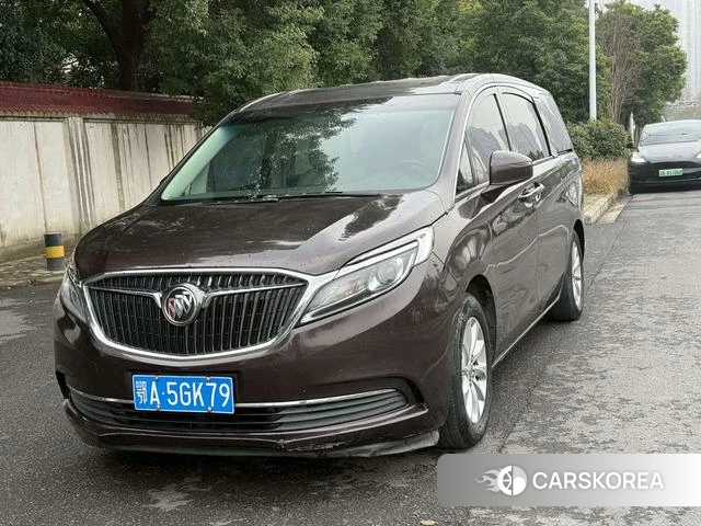 Buick GL8 2018 Коричневый из Китая, фото 6