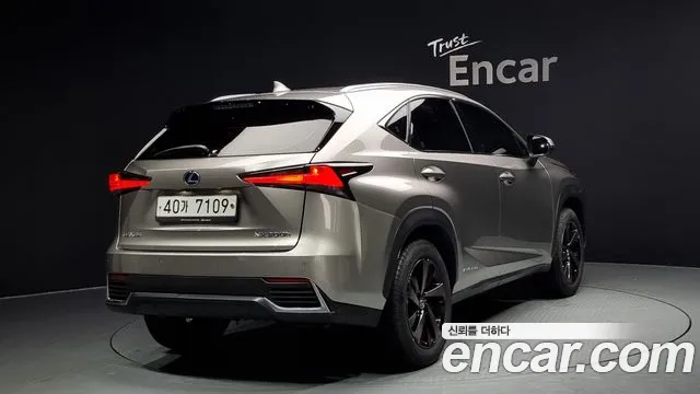 Lexus NX300h id 2844661 из Кореи 12