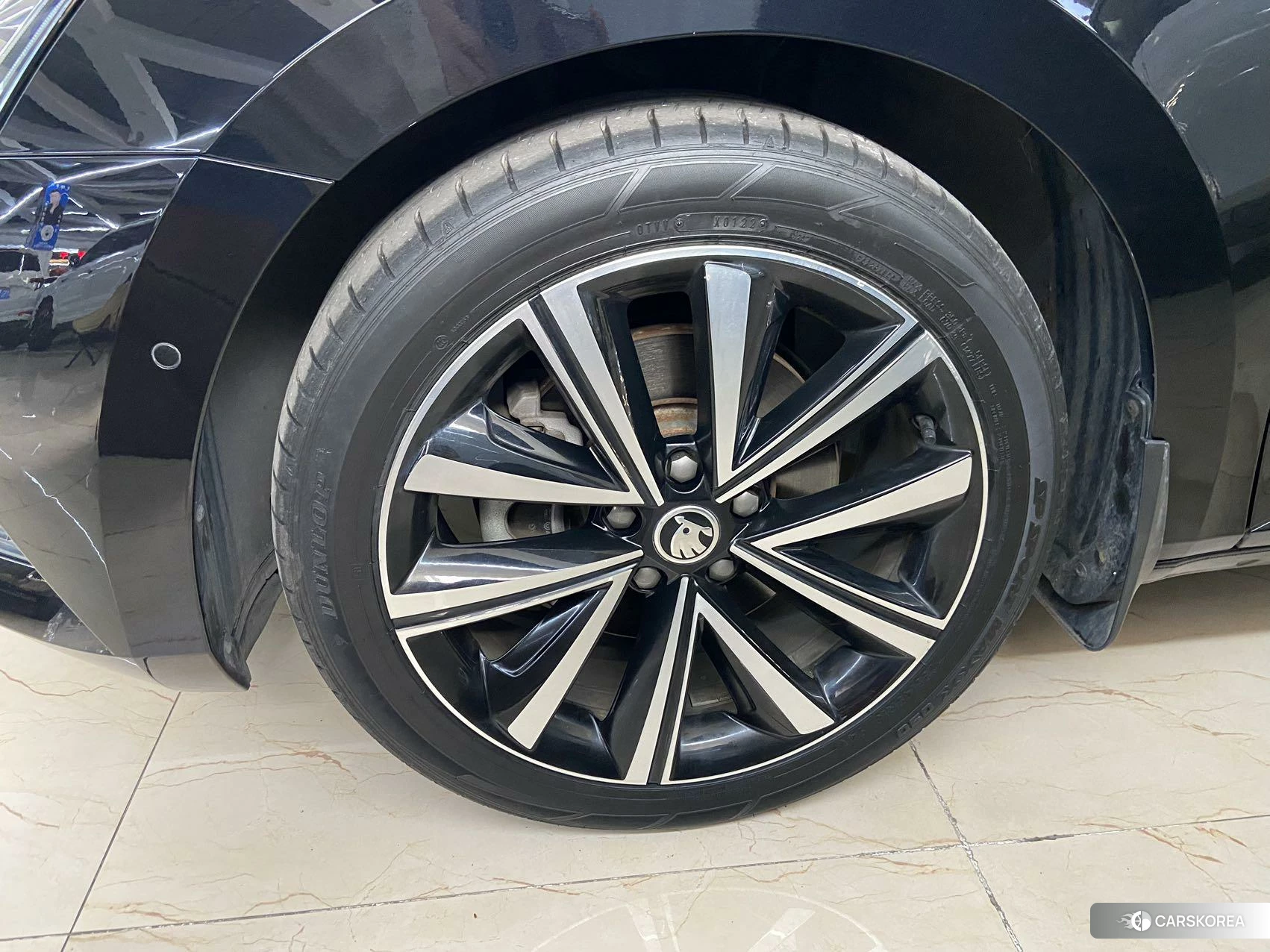 Skoda Speed pie id 4514805 из Китая 12