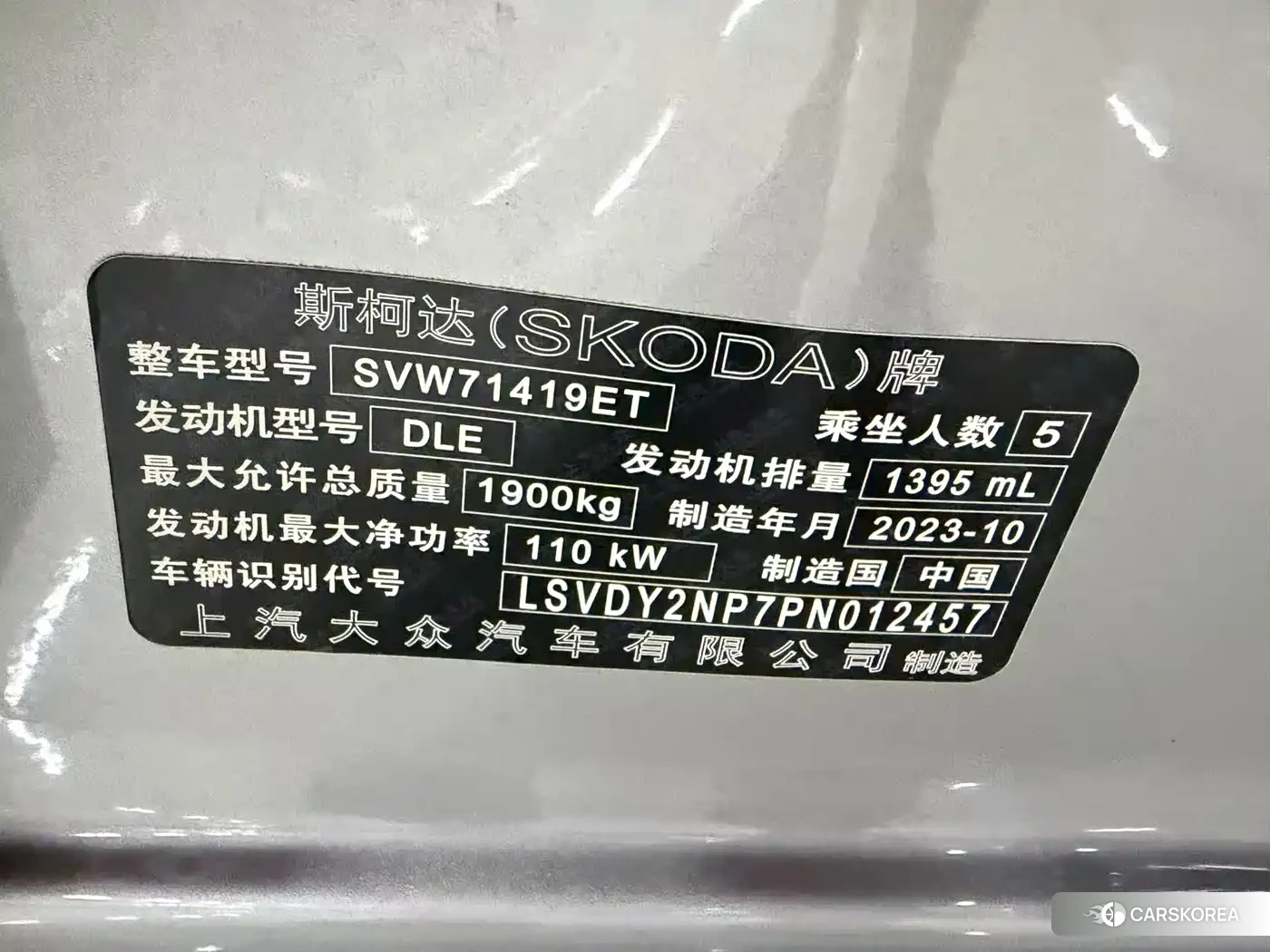 Skoda Speed pie 2023 Silver/gray из Китая, фото 2