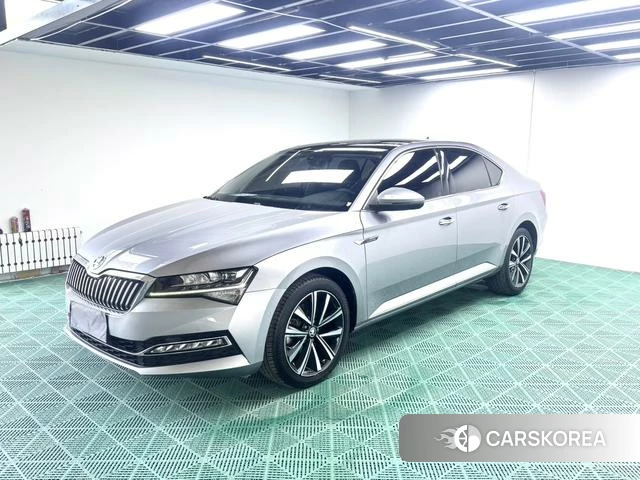 Skoda Speed pie id 4392048 из Китая 12