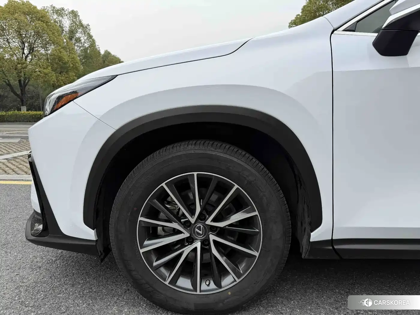 Lexus NX id 4622535 из Китая 10