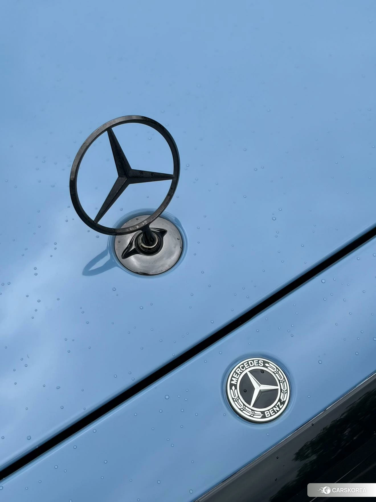 Mercedes-Benz S-class id 4452782 из Китая 12