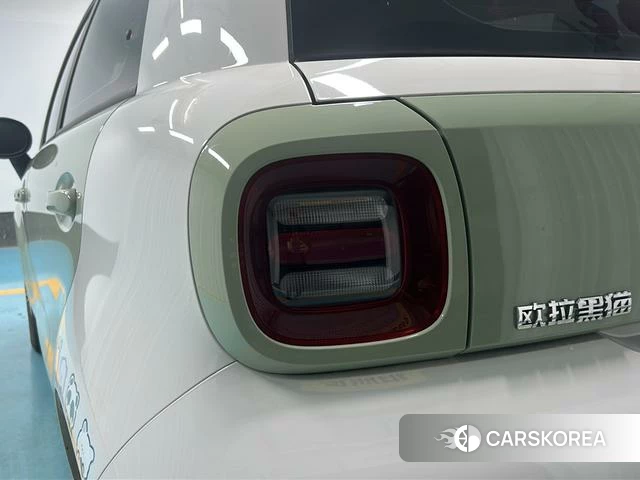 Euler Black cat id 4220683 из Китая 12