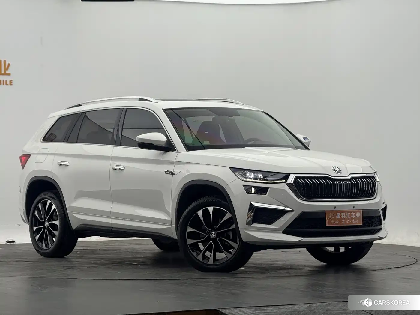 Skoda Kodiak id 4546503 из Китая 9