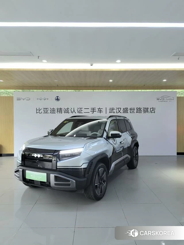 Leopard Titanium 3 id 4028231 из Китая 11