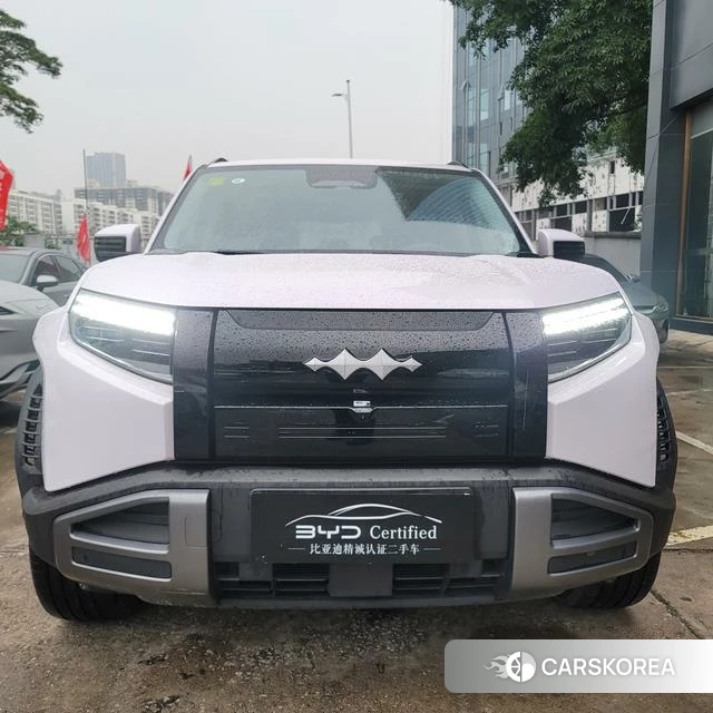 Leopard Titanium 3 id 3983283 из Китая 9