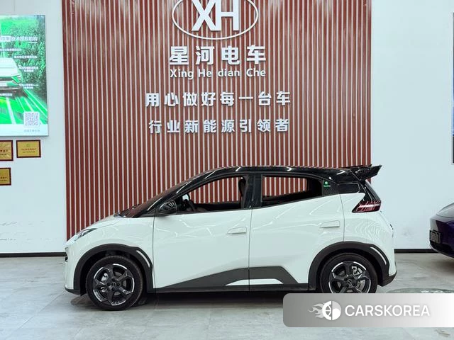BYD Seagull id 3856230 из Китая 11