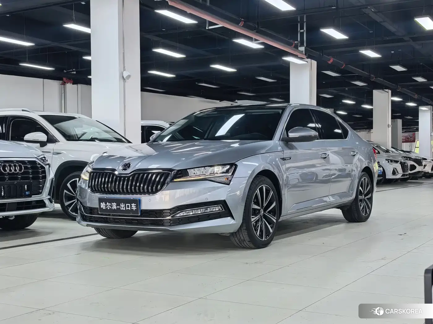 Skoda Speed pie id 4578277 из Китая 12
