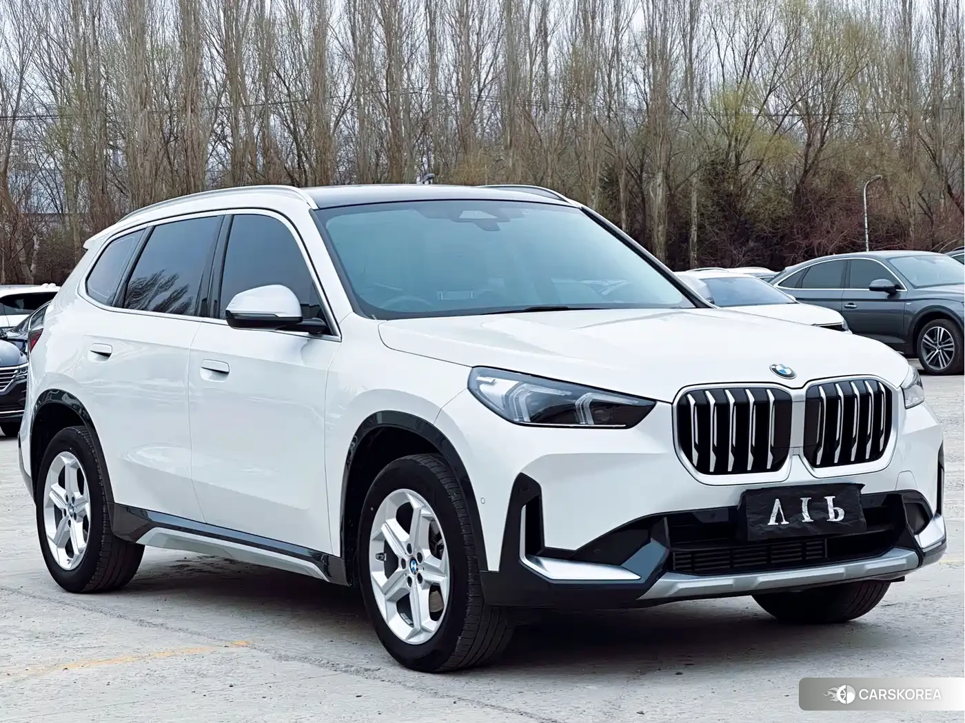 BMW X1 id 4583897 из Китая 12