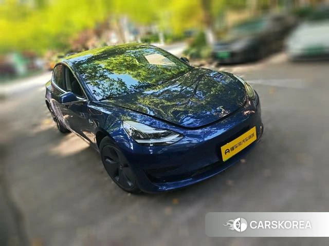 Tesla Model 3 2020 Синий из Китая, фото 2