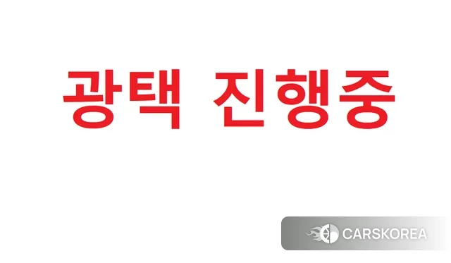 Kia The New Carnival 2020 Белый из Кореи, фото 2