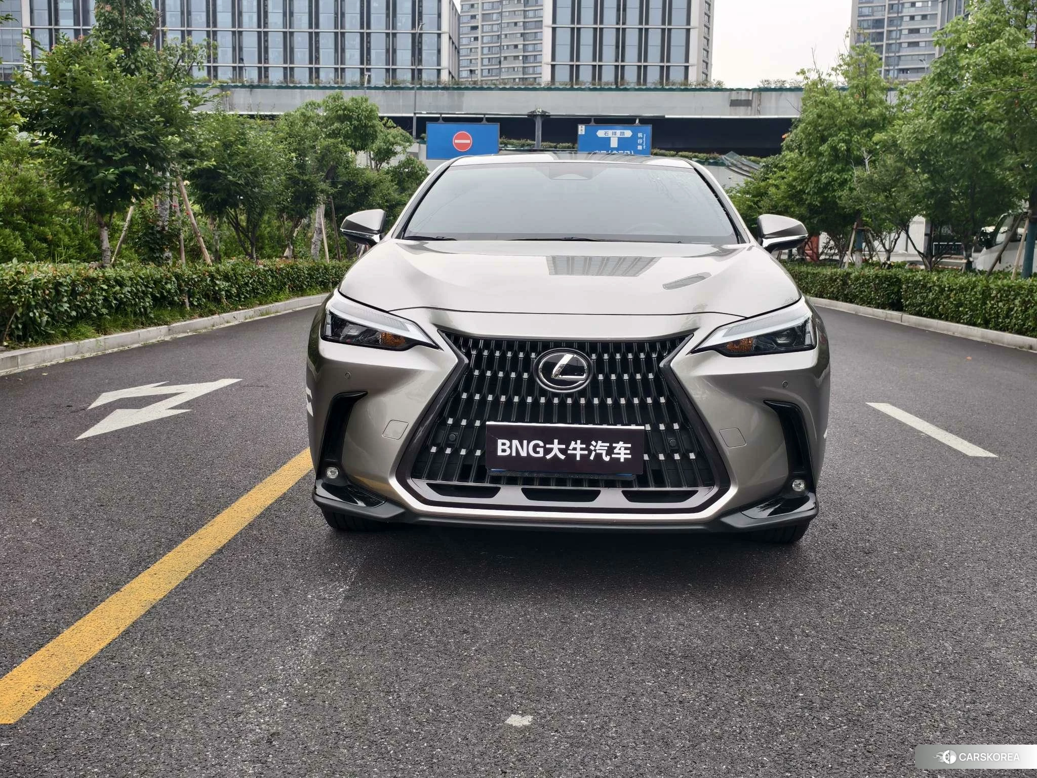 Lexus NX id 4461862 из Китая 7