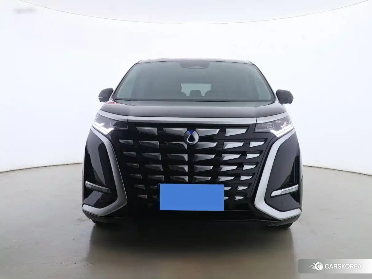 Denza D9 id 4578337 из Китая 7