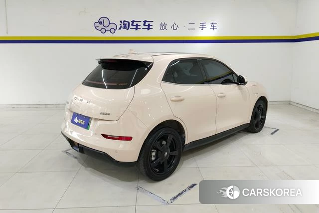 Euler Good cat id 4211618 из Китая 9