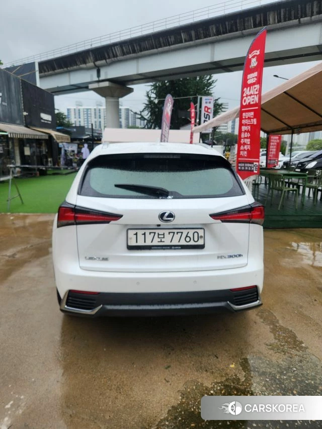 Lexus NX300h 2021 Белый из Кореи, фото 4