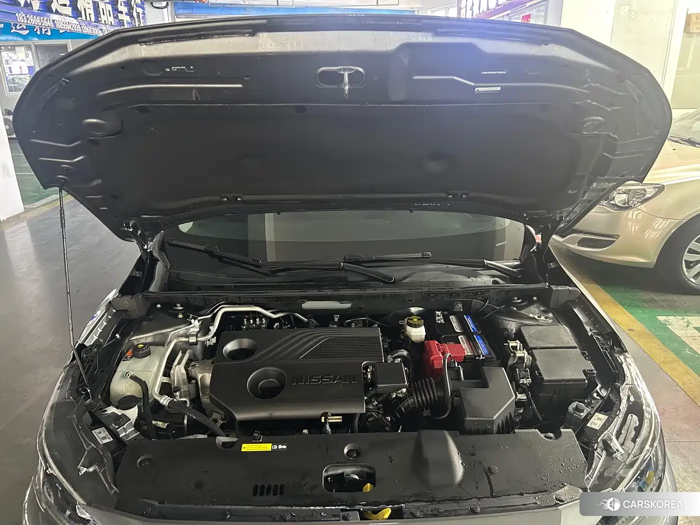 Nissan Sylphy id 4629480 из Китая 11