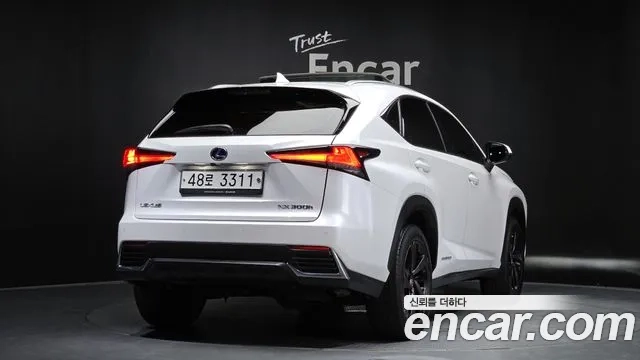 Lexus NX300h id 2876911 из Кореи 12