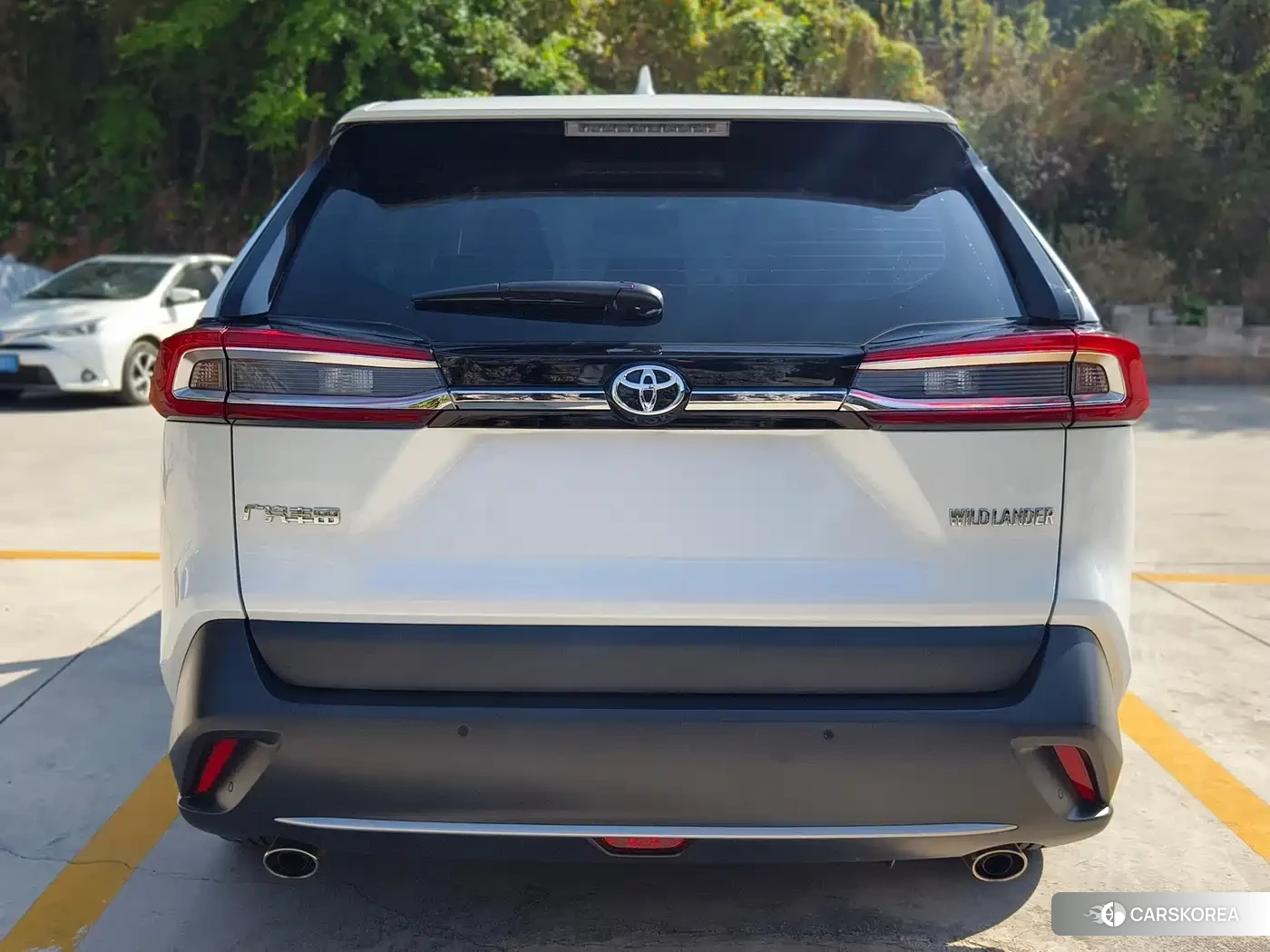 Toyota Wildlander id 4628214 из Китая 12