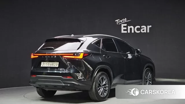 Lexus NX450h + 2nd generation id 3685135 из Кореи 12