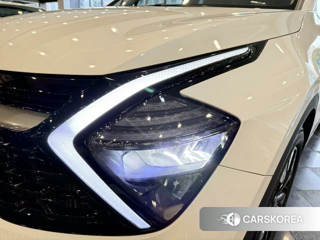 Kia Lion Platinum expands the world id 4297723 из Китая 12