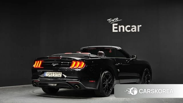 Ford Mustang id 3794842 из Кореи 12