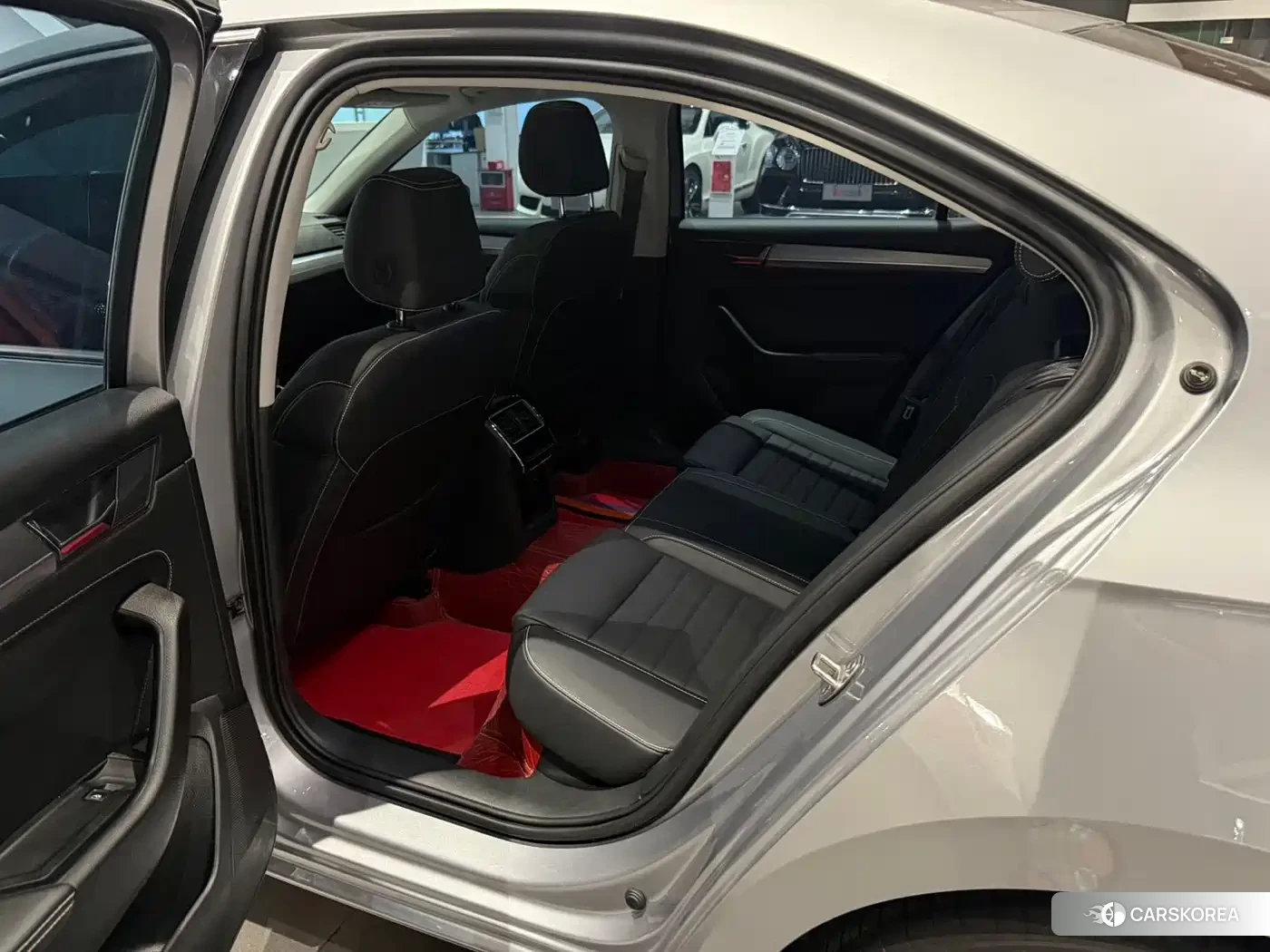 Skoda Speed pie id 4576264 из Китая 12