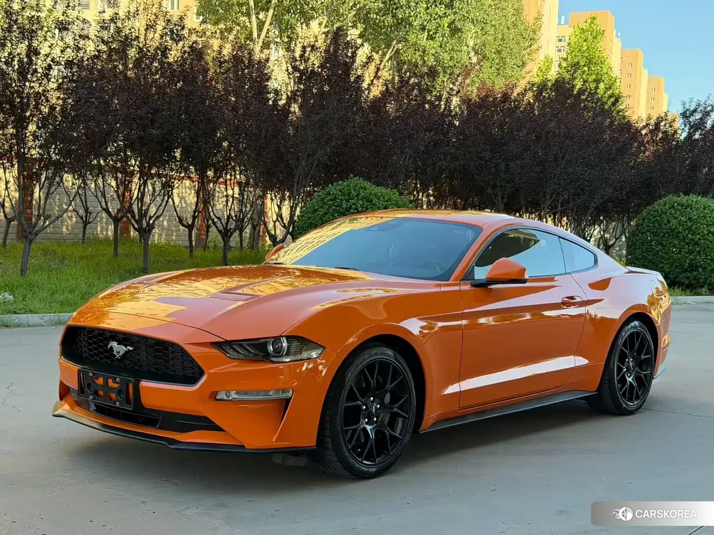 Ford Mustang id 4653871 из Китая 7