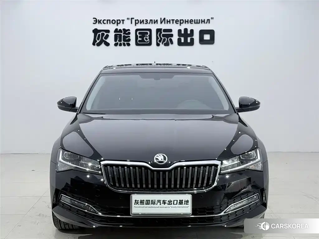 Skoda Speed pie id 4548303 из Китая 7