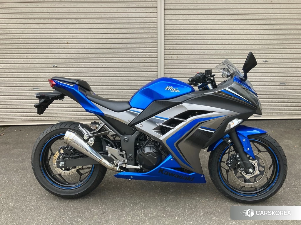 Проданный OTHER Ninja 250 ABS SE 2016 из Японии