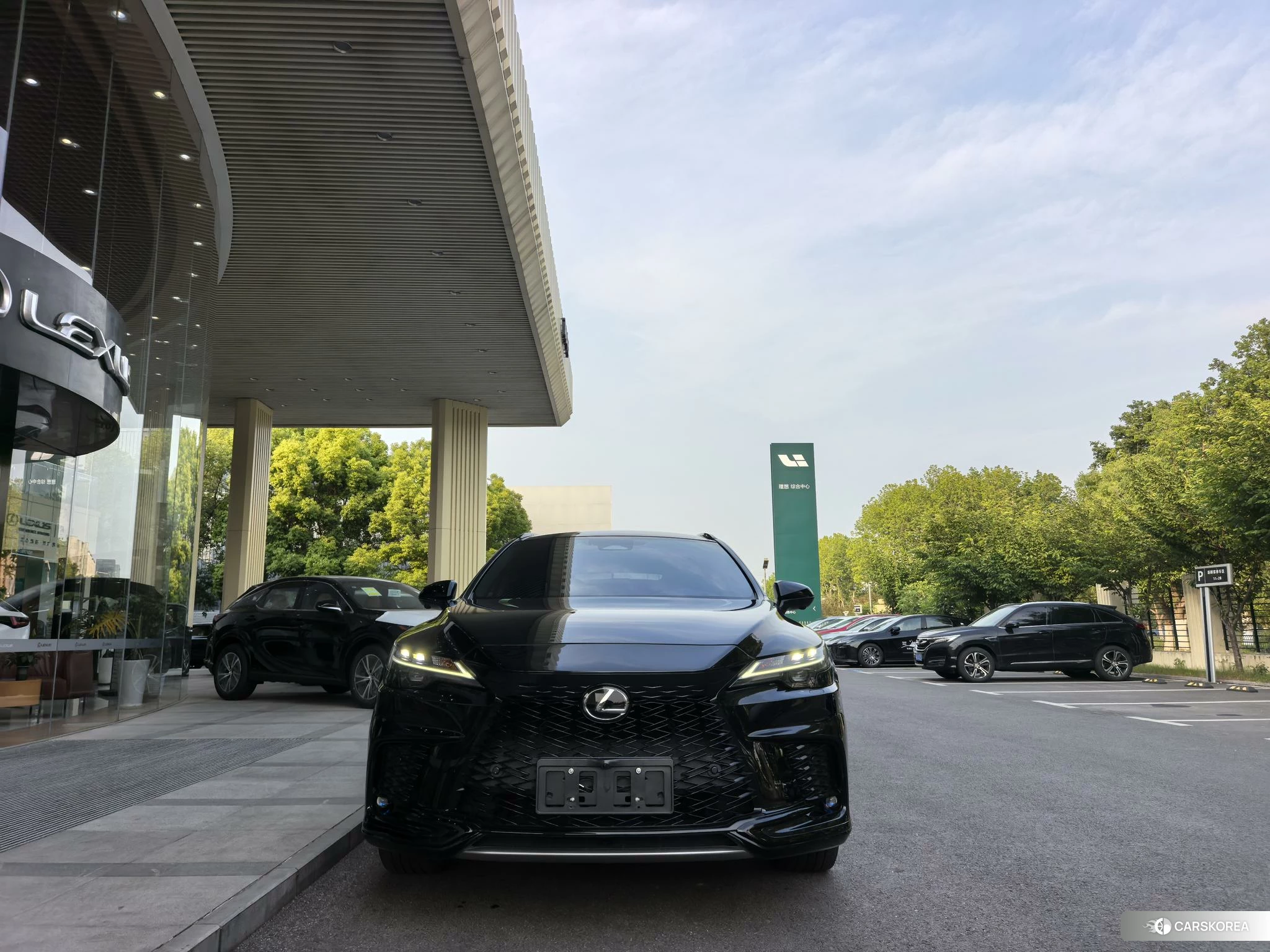 Lexus RX id 4452821 из Китая 9