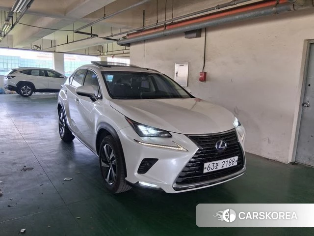 Lexus NX300h 2018 Белый из Кореи, фото 6