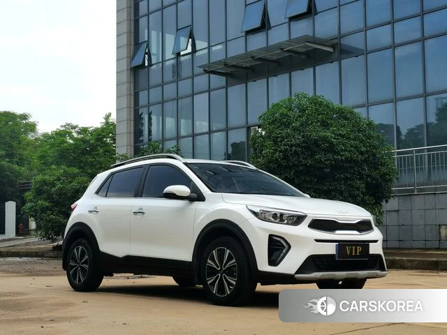 Kia Yi Ran id 4359047 из Китая 12