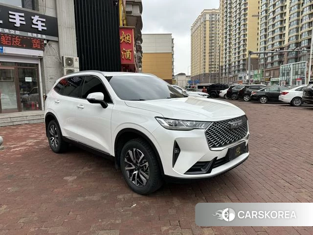 Haval H6 2023 Белый из Китая, фото 2