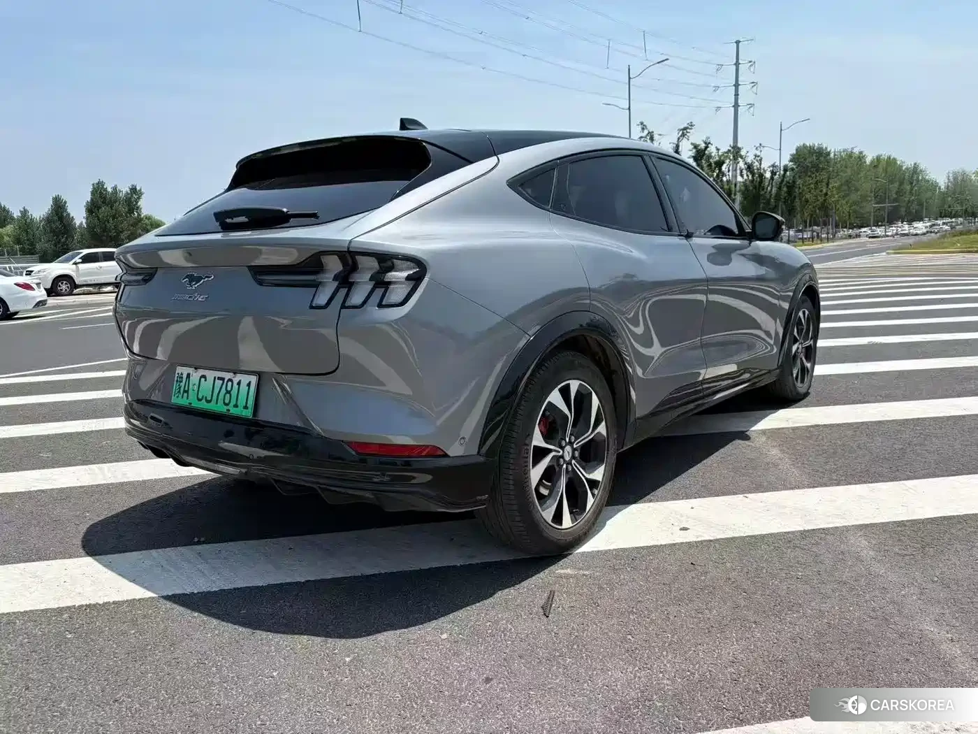 Ford Electric horse 2024 Silver/gray из Китая, фото 2