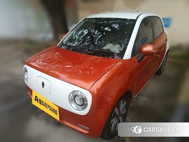 Euler Black cat 2021 Другой из Китая, фото 2