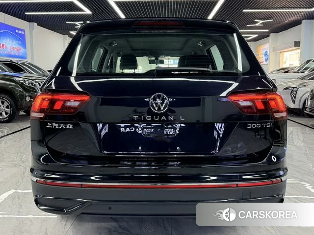 Volkswagen Tiguan L id 4272060 из Китая 10