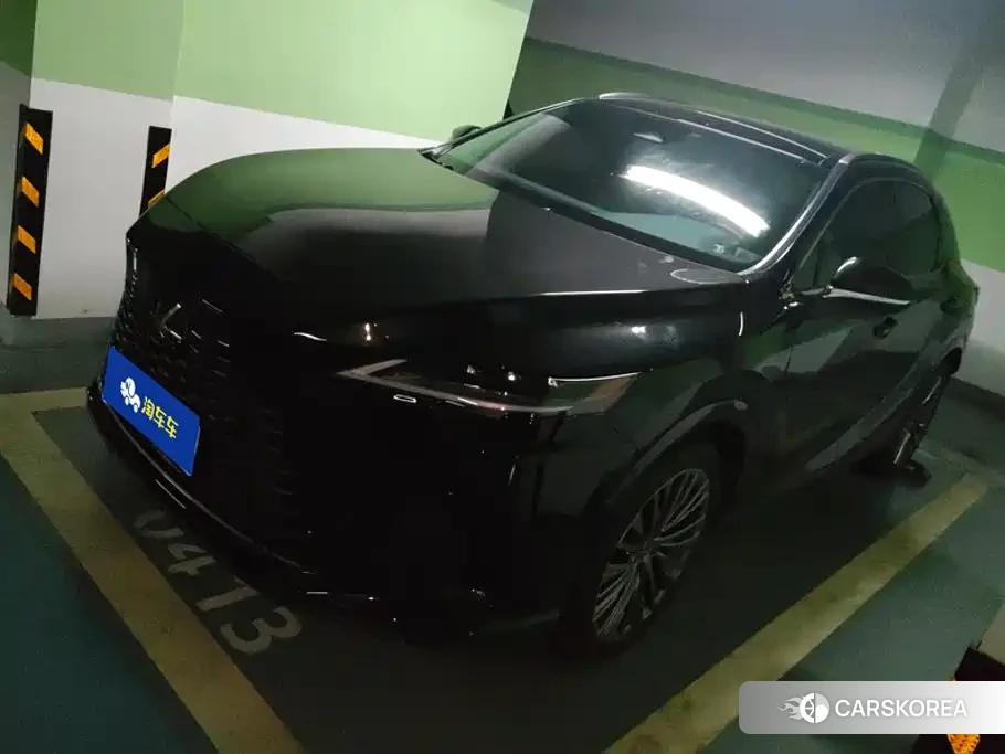Lexus RX id 4649401 из Китая 8