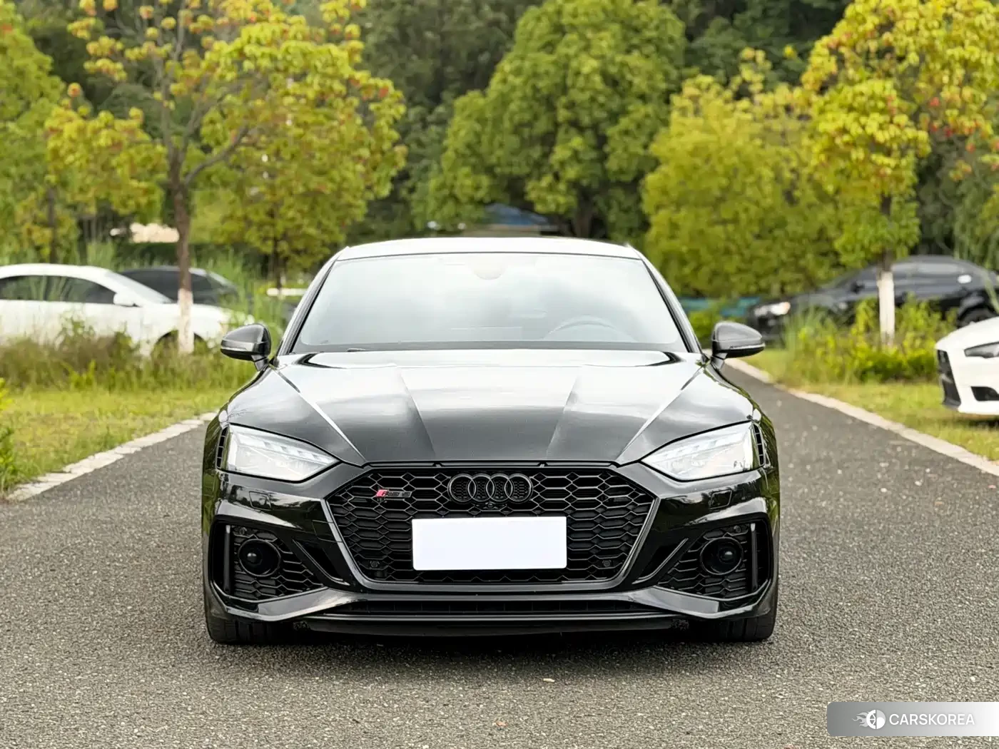 Audi RS 5 id 4600467 из Китая 9