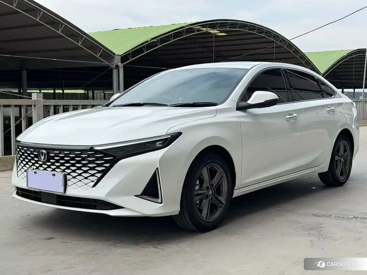Chang'an Ruicheng PLUS 2024 Белый из Китая, фото 2