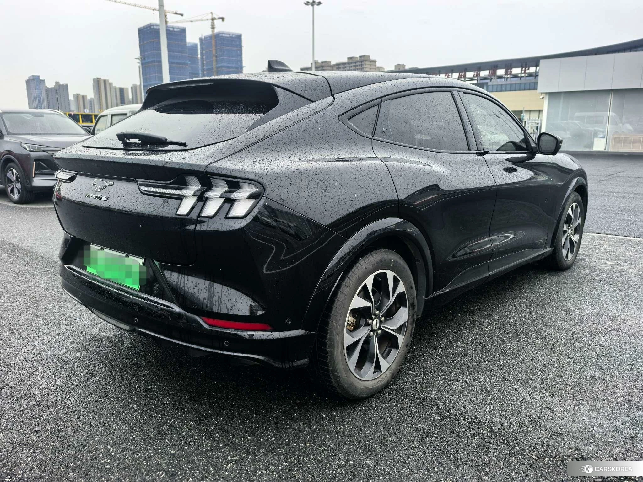 Ford Electric horse 2021 Черный из Китая, фото 4