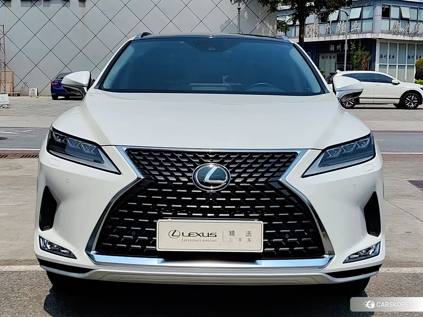 Lexus RX id 4539094 из Китая 12