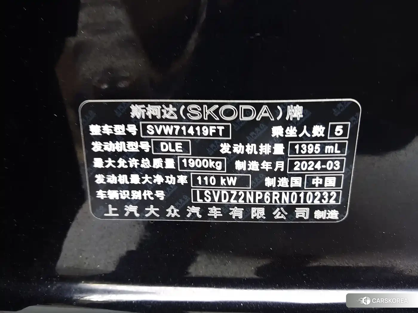 Skoda Speed pie id 4545666 из Китая 11