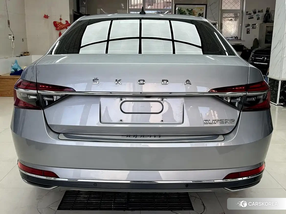 Skoda Speed pie id 4577624 из Китая 12