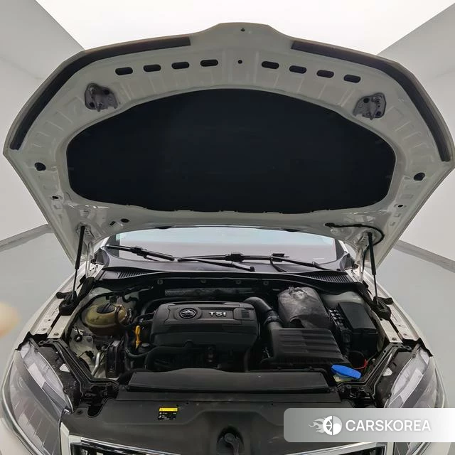 Skoda Speed pie id 4235866 из Китая 12