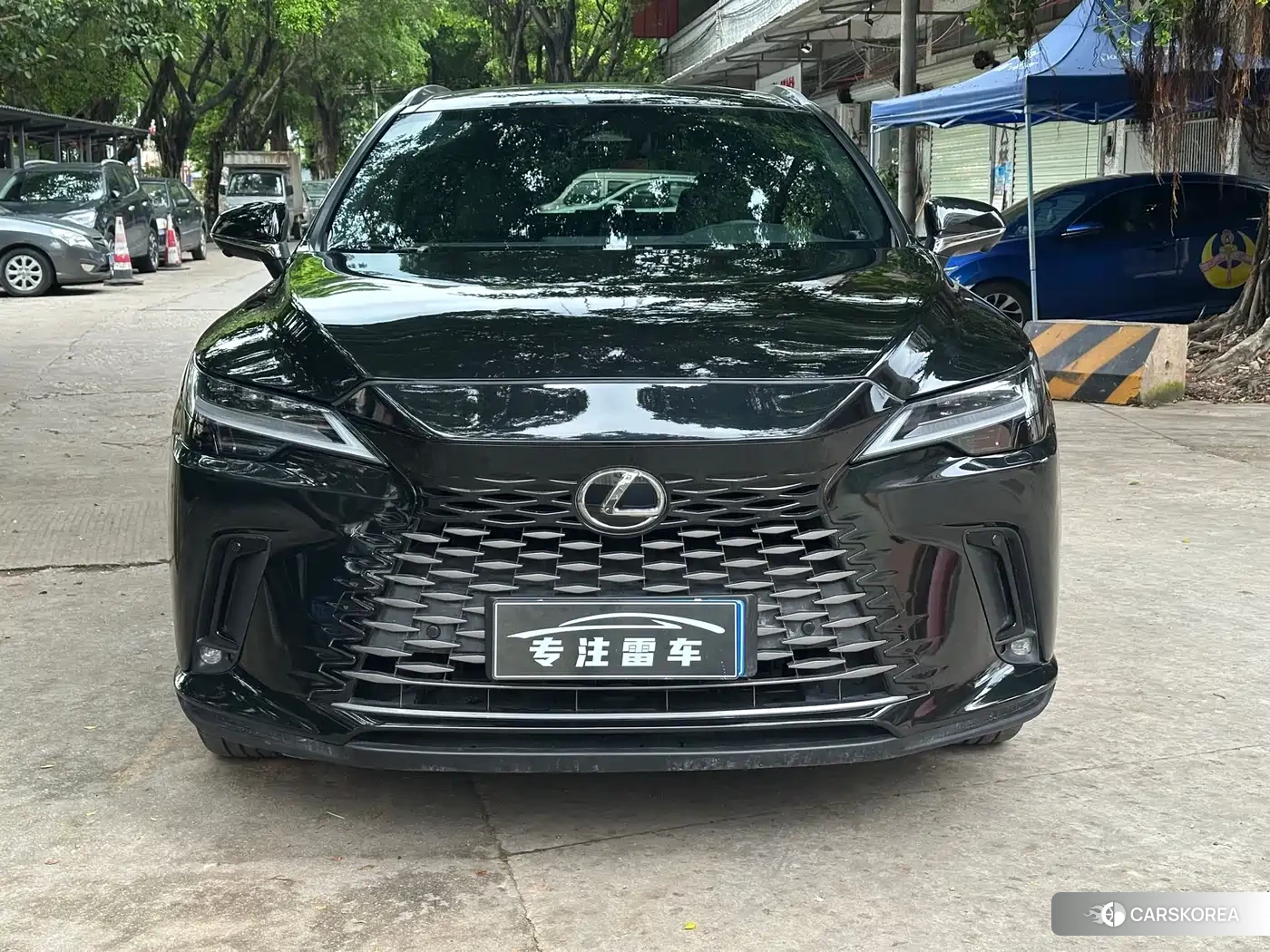 Lexus RX 2025 Черный из Китая, фото 2