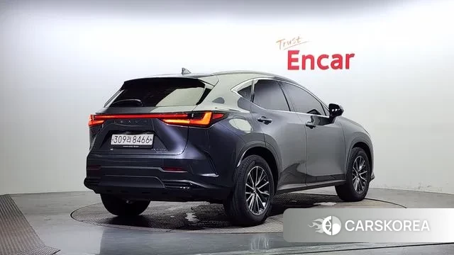 Lexus NX450h + 2nd generation id 3043222 из Кореи 12