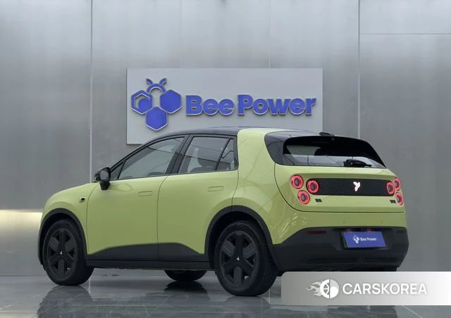 firefly firefly Unknown id 4182513 из Китая 12